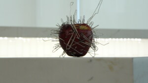 A red apple stuck full of paper clips